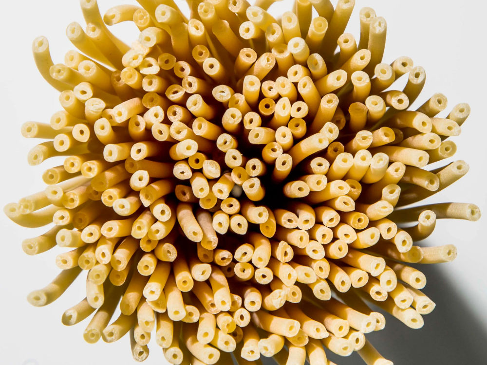 Macarrão cru do tipo bucatini disposto em pé, sobre fundo branco.